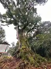 忍坂山口坐神社(奈良県)