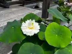 松本山　地福禅寺(滋賀県)