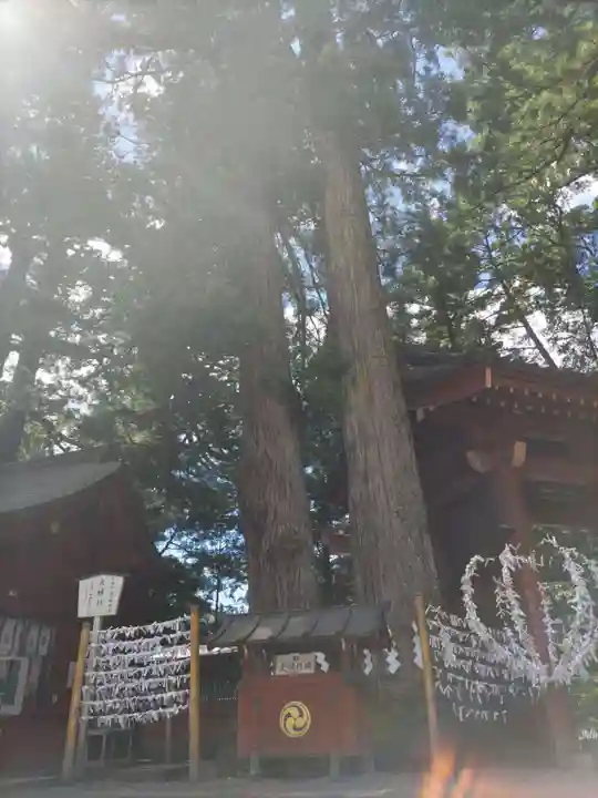 日光二荒山神社(栃木県)