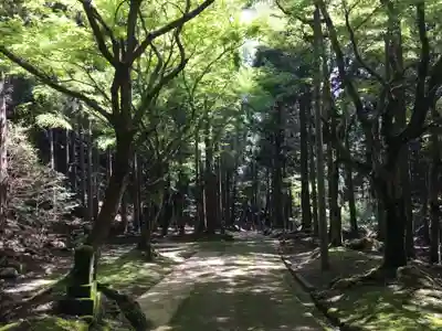 古知谷阿弥陀寺のその他建物