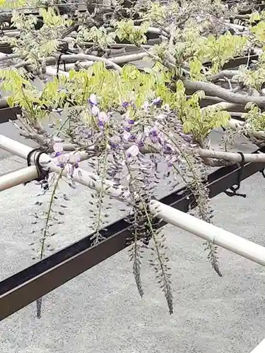 西方山極楽寺(岐阜県)