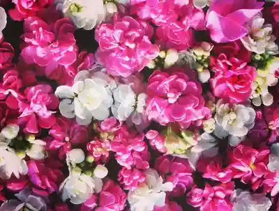 立志神社(滋賀県)