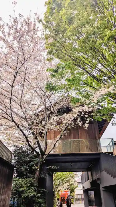 赤城神社の自然