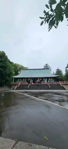喜多院の{uncategorized: "未分類", other: "その他", undefined: "問題あり", building: "その他建物", grave: "お墓", sacred_gate: "鳥居", guardian: "狛犬", statue: "像", buddha: "仏像", history: "歴史", nature: "自然", garden: "庭園", animal: "動物", pagoda: "塔", temizu: "手水舎", mountain_gate: "山門・神門", sanctuary: "本殿・本堂", subordinate: "末社・摂社", art: "芸術", scenery: "景色", jizo: "地蔵", ema: "絵馬", goshuin: "御朱印", omikuji: "おみくじ", items: "授与品その他", amulet: "お守り", goshuincho: "御朱印帳", eats: "食事", festival: "お祭り", votive_dance: "神楽", shichigosan: "七五三参", wedding: "結婚式", experience: "体験その他", initially: "初詣", around: "周辺", anti_infection: "感染症対策"}
