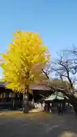 法華経寺の自然