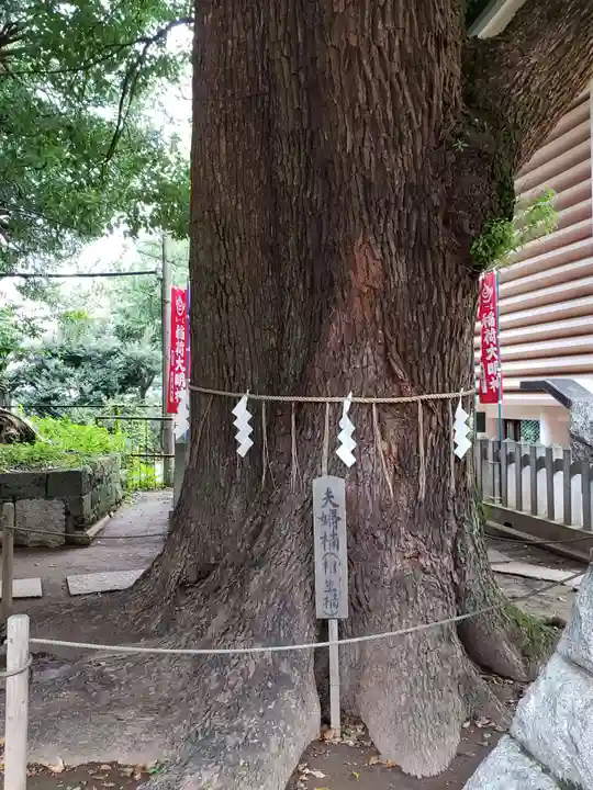 諏訪神社の自然