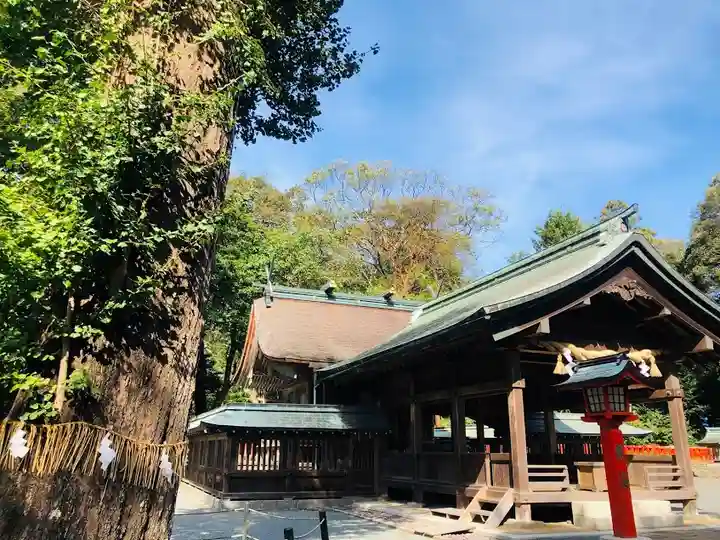 宗像大社中津宮の自然