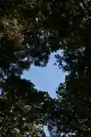 向山神社(宮崎県)