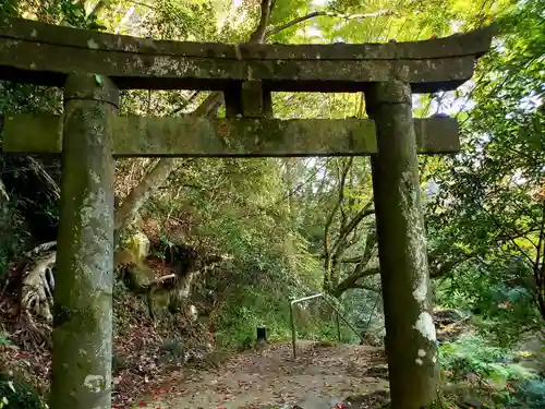 八女津媛神社の鳥居