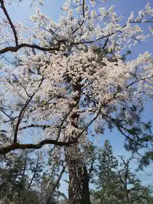 水火天満宮の自然
