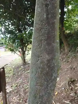 白山神社(群馬県)