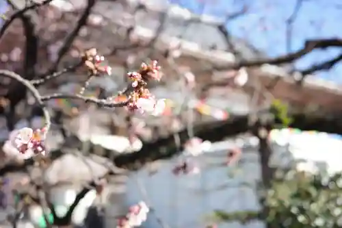 西新井大師総持寺の自然