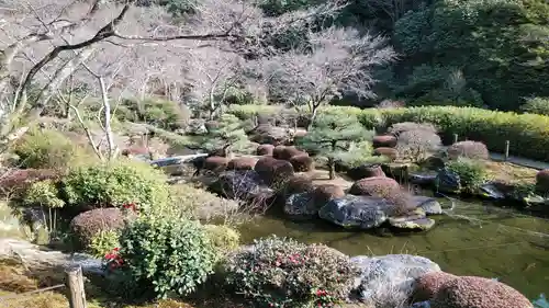 三室戸寺の庭園