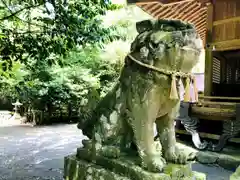 白髪神社の狛犬