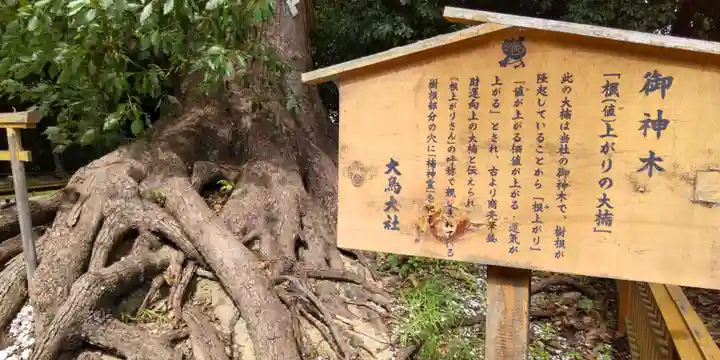 和泉國一之宮 大鳥大社(大阪府)