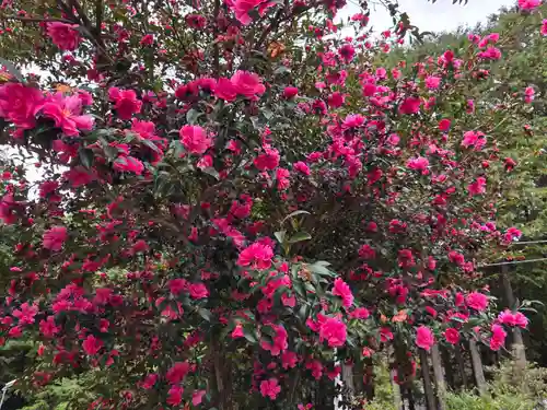 大宮神社(栃木県)