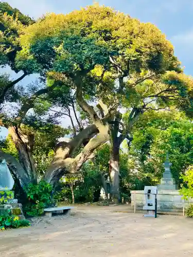 宝戒寺(神奈川県)