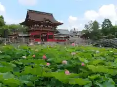 伊賀八幡宮の庭園