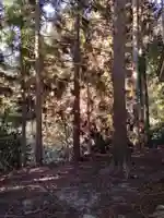 毛萱如意輪観音堂(宮城県)