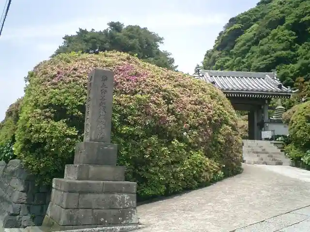 安養院 (田代寺)の塔