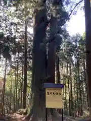 笠形神社の自然