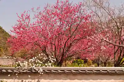 祥雲寺(愛媛県)