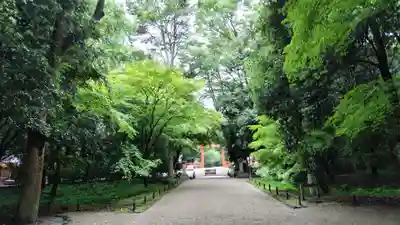 賀茂御祖神社（下鴨神社）(京都府)