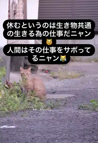 専念寺の動物