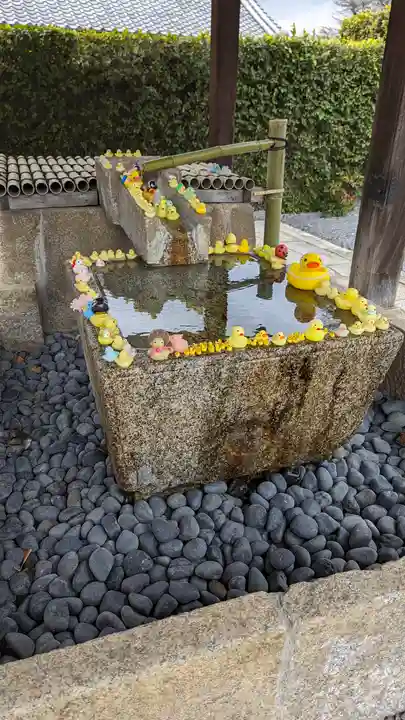 くろ谷 金戒光明寺(京都府)