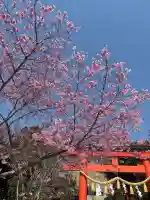 二川伏見稲荷の{uncategorized: "未分類", other: "その他", undefined: "問題あり", building: "その他建物", grave: "お墓", sacred_gate: "鳥居", guardian: "狛犬", statue: "像", buddha: "仏像", history: "歴史", nature: "自然", garden: "庭園", animal: "動物", pagoda: "塔", temizu: "手水舎", mountain_gate: "山門・神門", sanctuary: "本殿・本堂", subordinate: "末社・摂社", art: "芸術", scenery: "景色", jizo: "地蔵", ema: "絵馬", goshuin: "御朱印", omikuji: "おみくじ", items: "授与品その他", amulet: "お守り", goshuincho: "御朱印帳", eats: "食事", festival: "お祭り", votive_dance: "神楽", shichigosan: "七五三参", wedding: "結婚式", experience: "体験その他", initially: "初詣", around: "周辺", anti_infection: "感染症対策"}