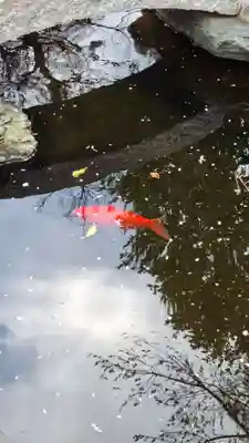 尾張猿田彦神社(愛知県)