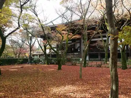 真正極楽寺（真如堂）の庭園