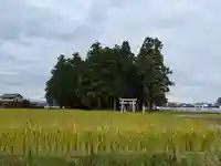 亀和田天満宮の景色