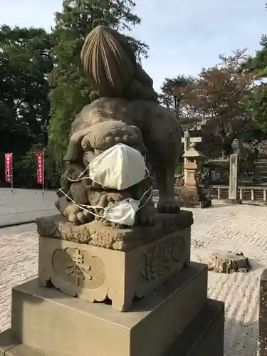 松江神社の狛犬