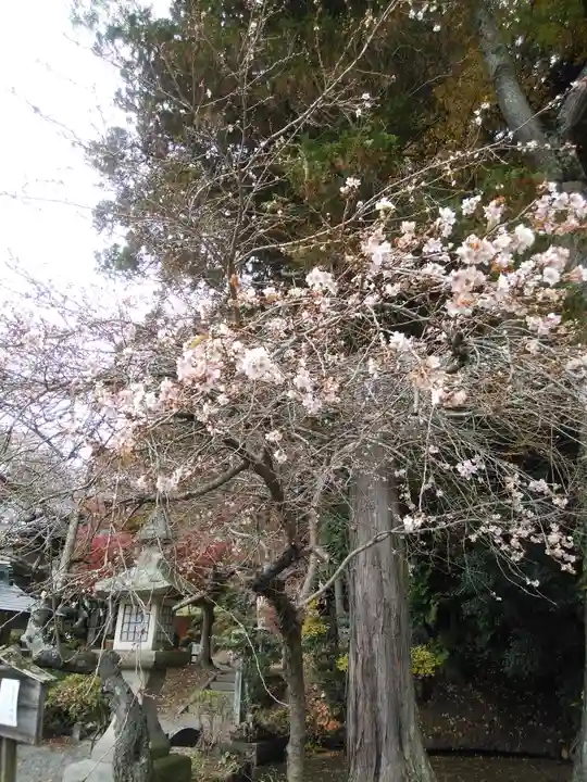 鹿島大神宮(福島県)