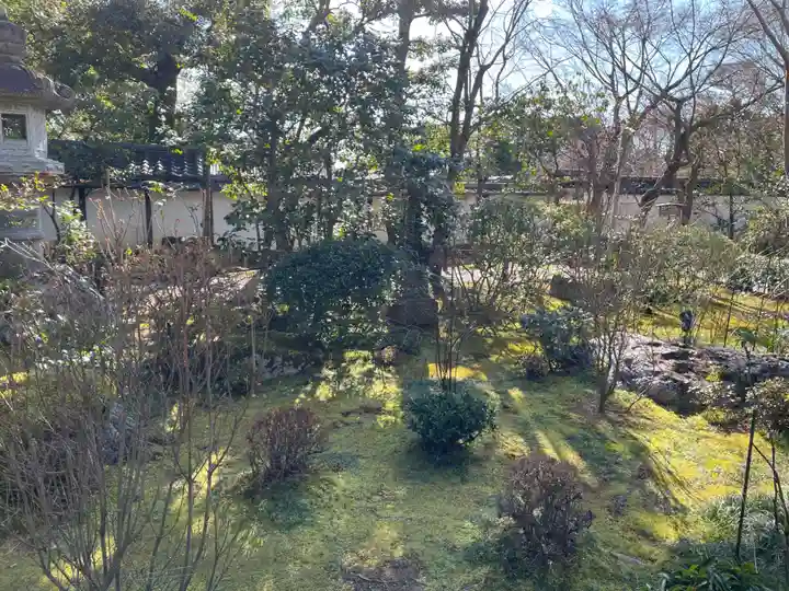 退蔵院(京都府)