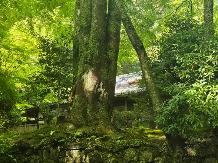 密蔵院(滋賀県)