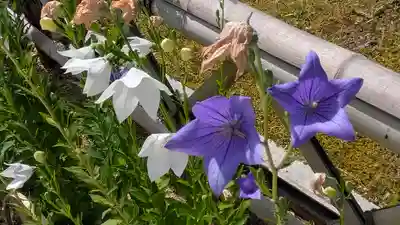  智積院(京都府)