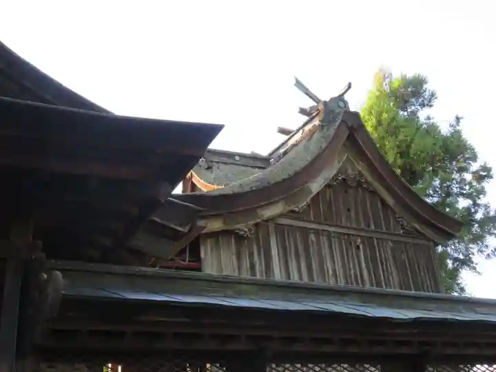 神高槻神社(滋賀県)