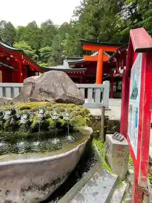 箱根神社(神奈川県)