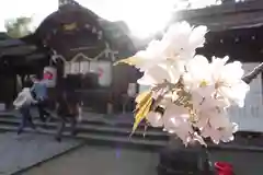 平野神社の建物その他