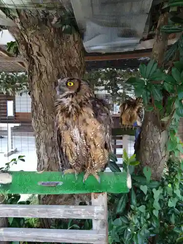 宮地嶽神社(福岡県)