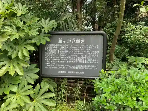 亀ケ池八幡宮のその他建物