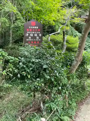 浄瑠璃寺(京都府)