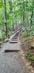 空気神社の自然