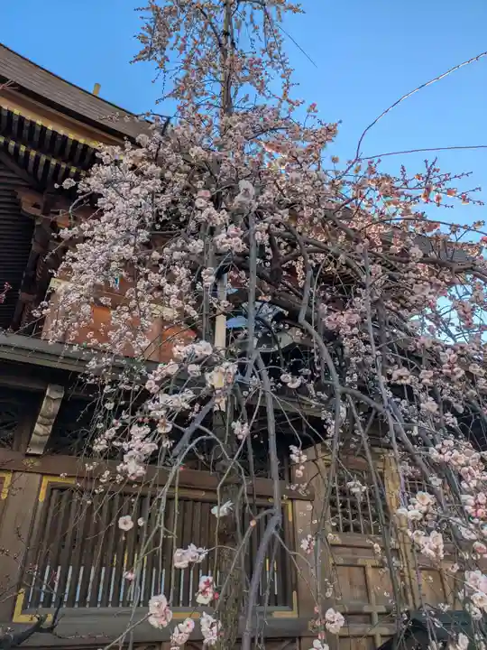 湯島天満宮(東京都)