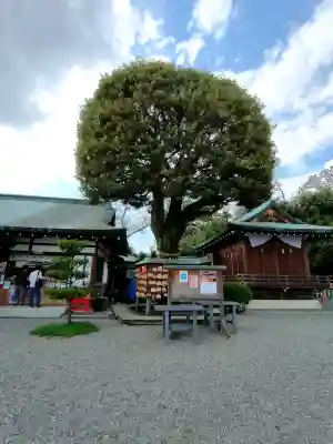 足利織姫神社の{uncategorized: "未分類", other: "その他", undefined: "問題あり", building: "その他建物", grave: "お墓", sacred_gate: "鳥居", guardian: "狛犬", statue: "像", buddha: "仏像", history: "歴史", nature: "自然", garden: "庭園", animal: "動物", pagoda: "塔", temizu: "手水舎", mountain_gate: "山門・神門", sanctuary: "本殿・本堂", subordinate: "末社・摂社", art: "芸術", scenery: "景色", jizo: "地蔵", ema: "絵馬", goshuin: "御朱印", omikuji: "おみくじ", items: "授与品その他", amulet: "お守り", goshuincho: "御朱印帳", eats: "食事", festival: "お祭り", votive_dance: "神楽", shichigosan: "七五三参", wedding: "結婚式", experience: "体験その他", initially: "初詣", around: "周辺", anti_infection: "感染症対策"}