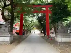 花園神社の鳥居