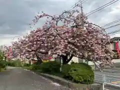 萬蔵寺(神奈川県)