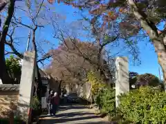 本土寺(千葉県)